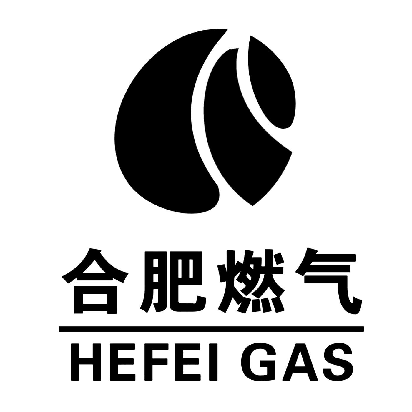 合肥燃?xì)?>
                            </div>
                            <p class=